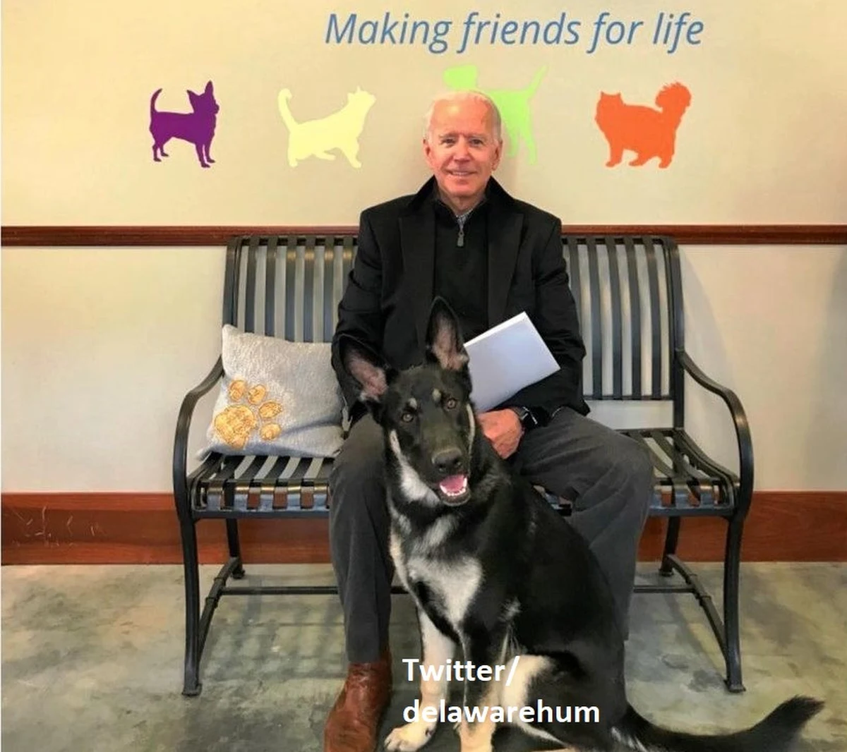 Prezydent-elekt Joe Biden w sobotę skręcił kostkę podczas zabawy z jednym ze swoich psów i został profilaktycznie zbadany przez lekarza - poinformowało w niedzielę jego biuro.