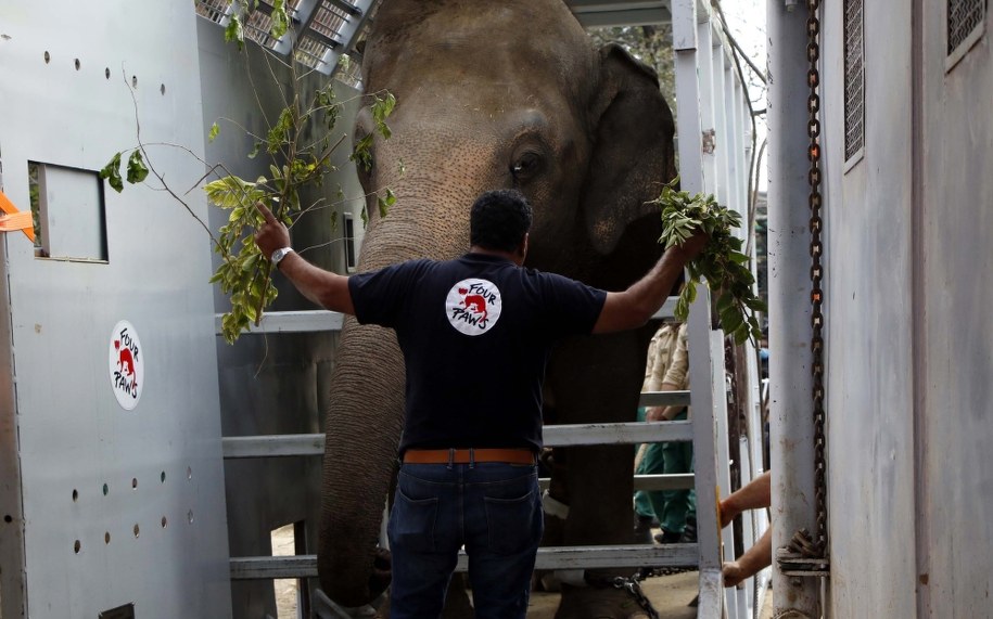 /SOHAIL SHAHZAD /PAP/EPA