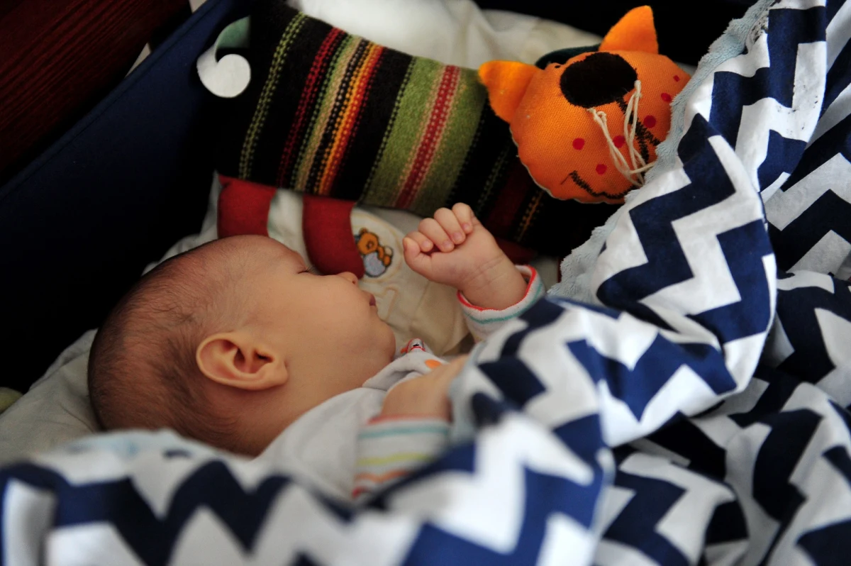 Zwyczaj kołysania dzieci do snu towarzyszy nam od niepamiętnych czasów, drgania samochodu, czy pociągu często usypiają nas bez względu na wiek, teraz okazuje się, że z pomocą drgań można usypiać także... muszki owocowe. Po co? Po to, by badać sen, którym w przypadku tych owadów sterują podobne mechanizmy, jak u nas. Jak piszą na łamach czasopisma "Cell Reports" naukowcy z Thomas Jefferson University delikatne drgania sprawiają, że muszki wysypiają się niejako na zapas.