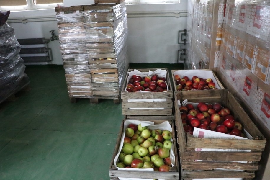 /Józef Polewka /RMF FM