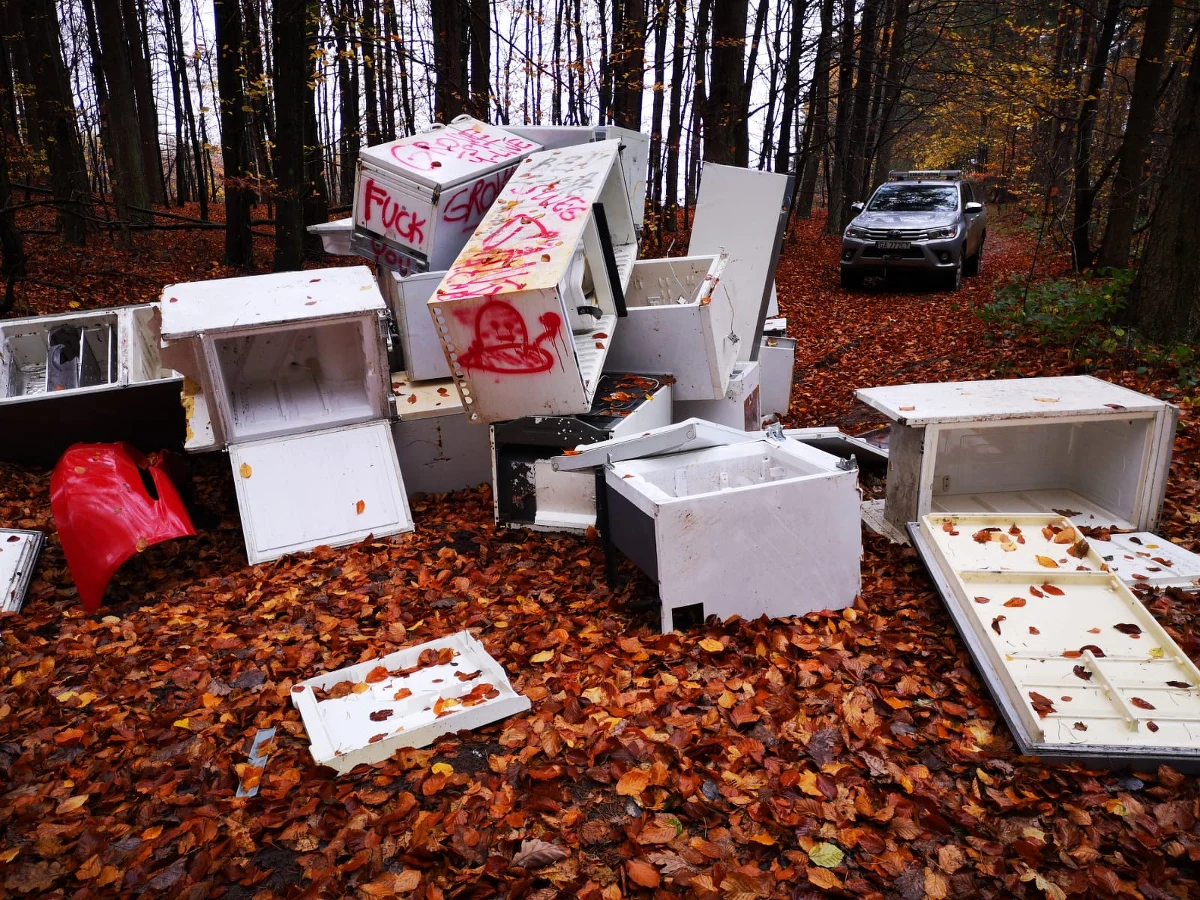 „W takich sytuacjach człowiek traci wiarę, że kiedyś się to zmieni”. Nadleśnictwo Gdańsk opublikowało na Facebooku, gdzie na zdjęciach widać stertę lodówek, które ktoś porzucił w lesie.