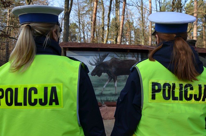 /Policja