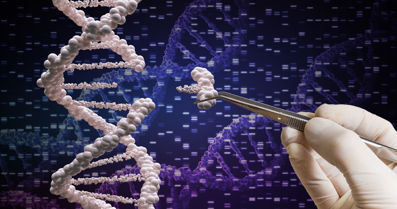 Pierwszy raz użyto nowej terapii genowej CRISPR. Kim jest pacjent?