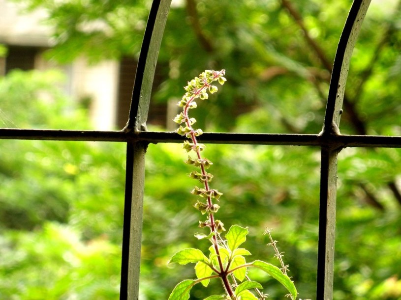 /&copy;123RF/PICSEL