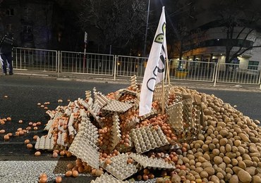 Jaja, ziemniaki, martwa świnia w pobliżu domu Jarosława Kaczyńskiego. Protest Agrounii