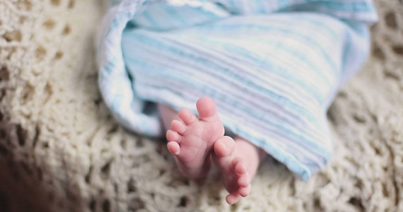 Są wyniki sekcji zwłok 5-tygodniowego niemowlęcia, które znaleziono wczoraj w mieszkaniu w Świdnicy na Dolnym Śląsku. Na jego ciele nie było śladów przemocy. Biegły na razie nie jest w stanie podać przyczyny zgonu. 