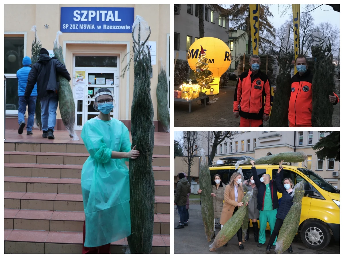 Trwa nasza akcja „Choinka dla medyków od słuchaczy RMF FM”. Dziś pachnące drzewka trafiają do ratowników, pielęgniarek i lekarzy z Rzeszowa i Puław. "Ten rok jest niewiarygodnie trudny. Te choinki dają nam trochę uśmiechu" - mówią dziennikarzom RMF FM pracownicy szpitali.