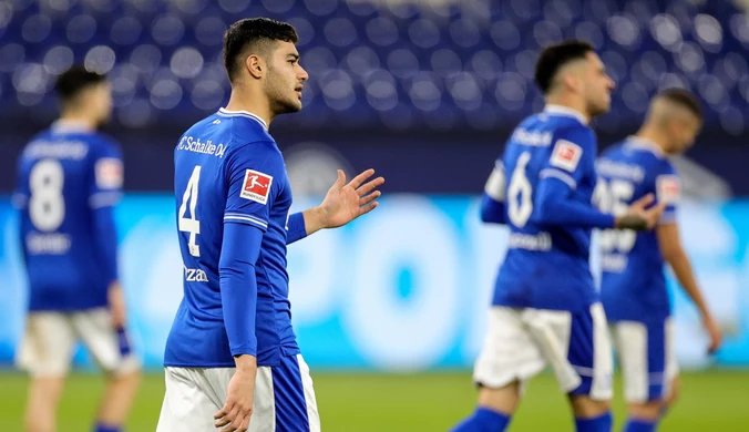 Bundesliga. Huub Stevens trenerem Schalke 04
