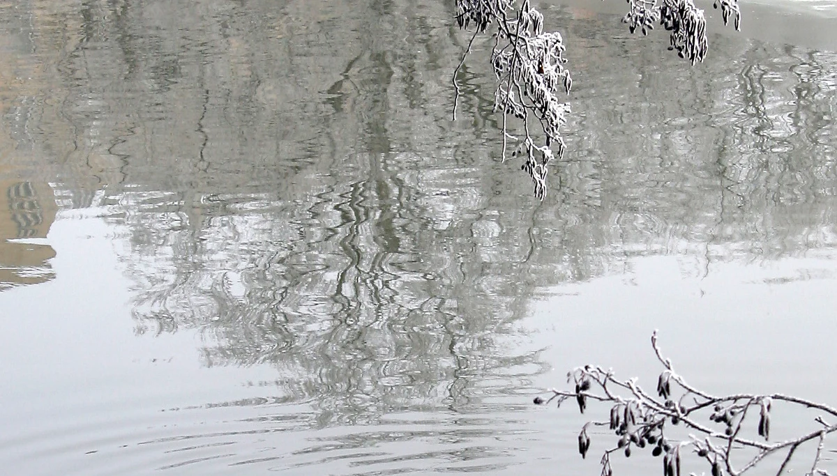 Zwłoki 55-letniego wędkarza zostały odnalezione na głębokości 11 metrów w Zalewie Włocławskim. Mężczyzna był poszukiwany od 12 dni. Śledztwo wyjaśni okoliczności jego śmierci.