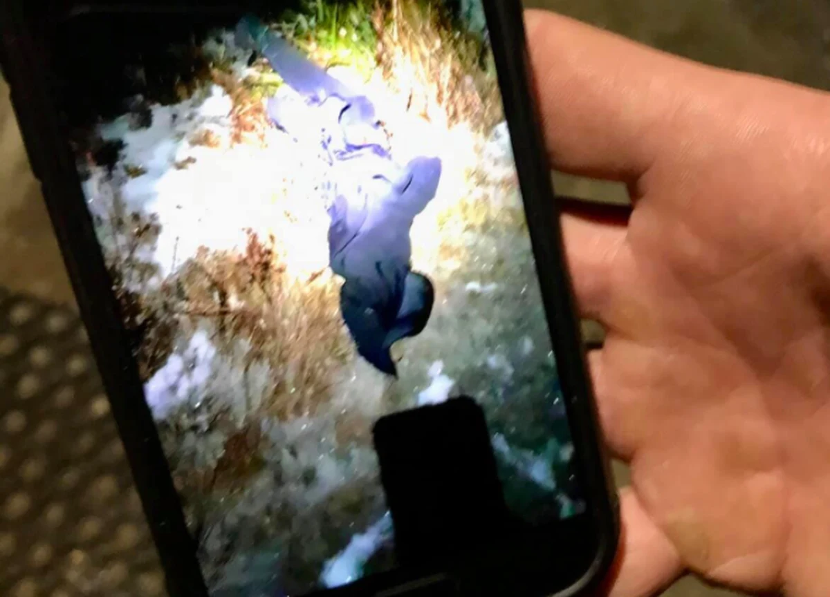 Agresywnego mężczyznę, który porzucił polar i buty, choć temperatura była ujemna, spotkali turyści na szlaku na Halę Miziową w Beskidach. Powiadomili GOPR, które ruszyło na ratunek. Okazało się, że mężczyzna sam dotarł do domu. Sprawę przekazano policji.