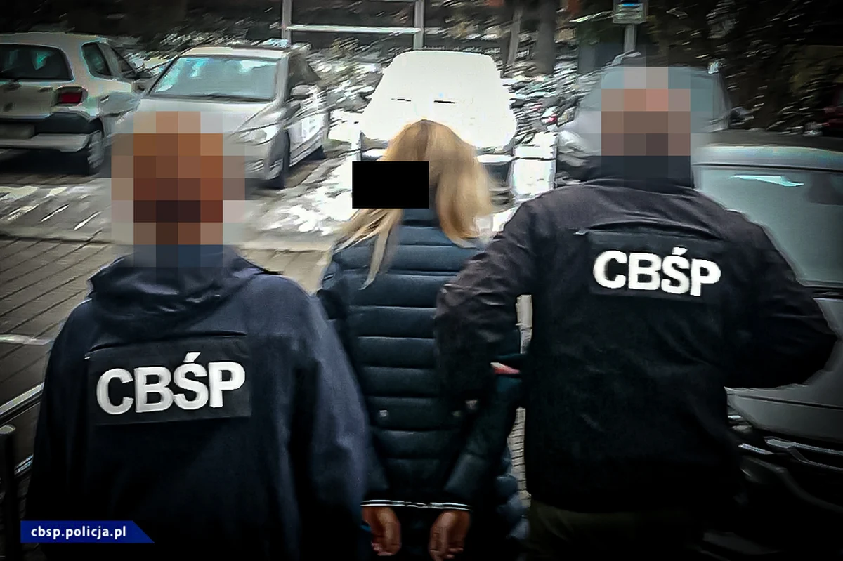 Centralne Biuro Śledcze Policji przy wsparciu stołecznych funkcjonariuszy zatrzymało 11 członków zorganizowanej grupy przestępczej. Organizacja w latach 2010-2013 zajmowała się kradzieżą, legalizacją i wystawianiem na sprzedaż samochodów. Funkcjonariusze odzyskali 19 pojazdów sprzedanych przez podejrzanych nieświadomym klientom.