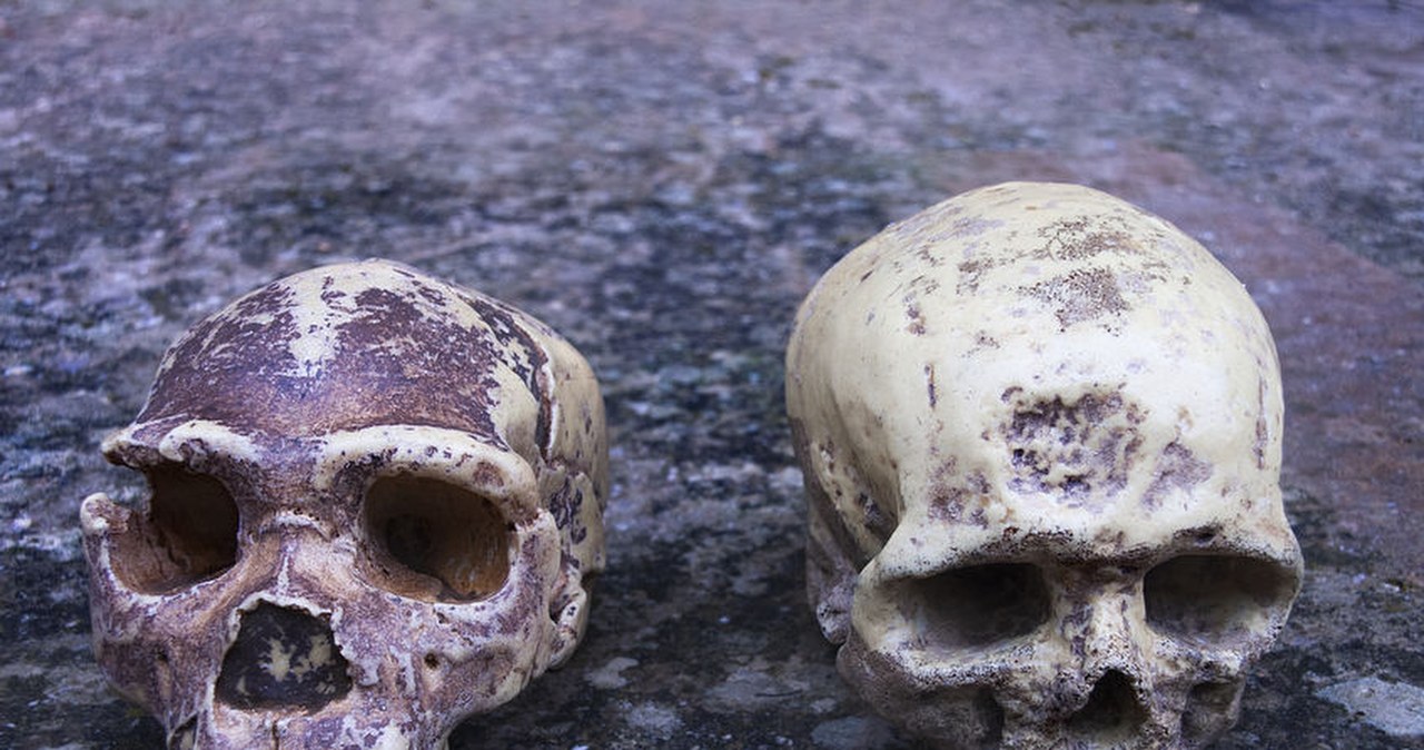 DNA denisowian to klucz do rozwoju ludzkości w obu Amerykach