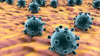 Koronawirus. Nowa mutacja a skuteczność szczepionek. Dr hab. Piotr Rzymski wyjaśnia