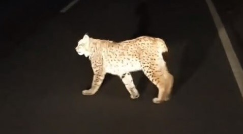 /Damian Mróz /Facebook