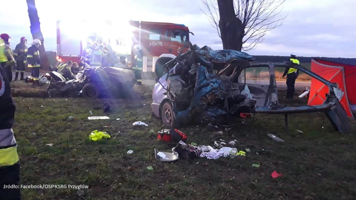 "Kobieta i miesięczne dziecko zginęli w wypadku, do którego doszło w piątek po południu w Nowej Wsi w powiecie piotrkowskim (Łódzkie)" - poinformował  rzecznik prasowy łódzkiej straży pożarnej mł. brygadier Jędrzej Pawlak. Samochód zderzył się z dzikiem, a następnie uderzył w drzewo.