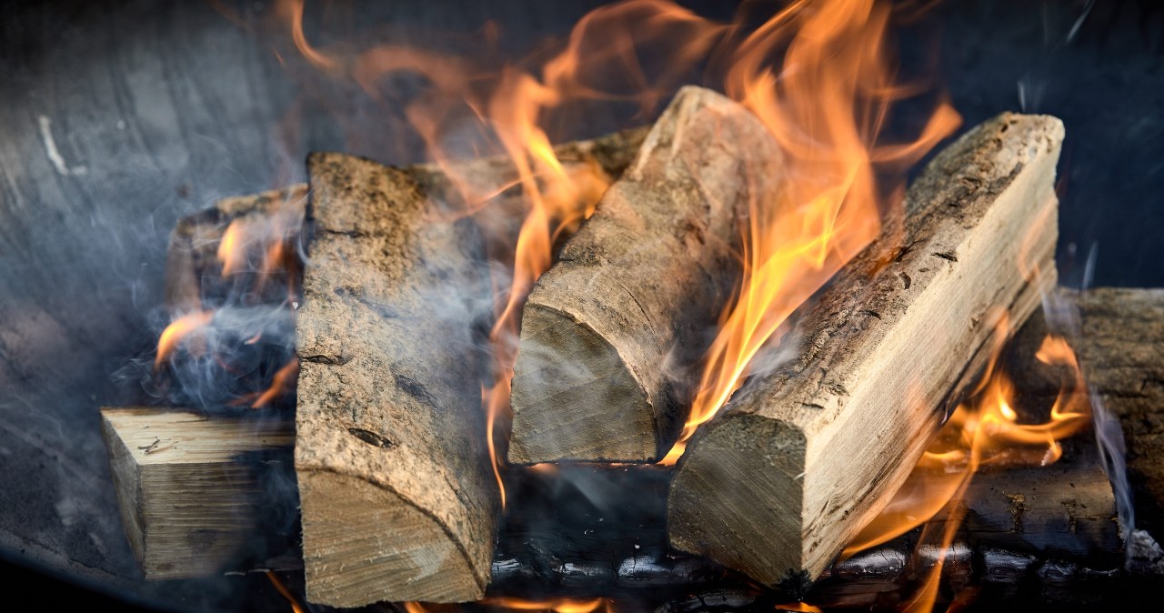 Naukowcy: Ogień "wymyślono", by chronić jedzenie