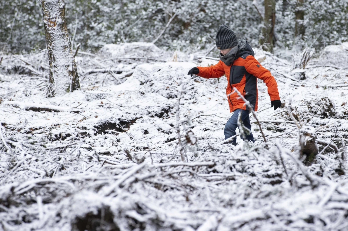 Niedziela jest ostatnim dniem przerwy świątecznej w szkołach z okazji Bożego Narodzenia i Nowego Roku. Nie oznacza to jednak, że od jutra uczniowie wracają do nauki. W poniedziałek zaczną się dwutygodniowe ferie zimowe. W tym roku wyjątkowo będą wcześniej niż w latach ubiegłych i w jednym terminie dla wszystkich uczniów w kraju. 