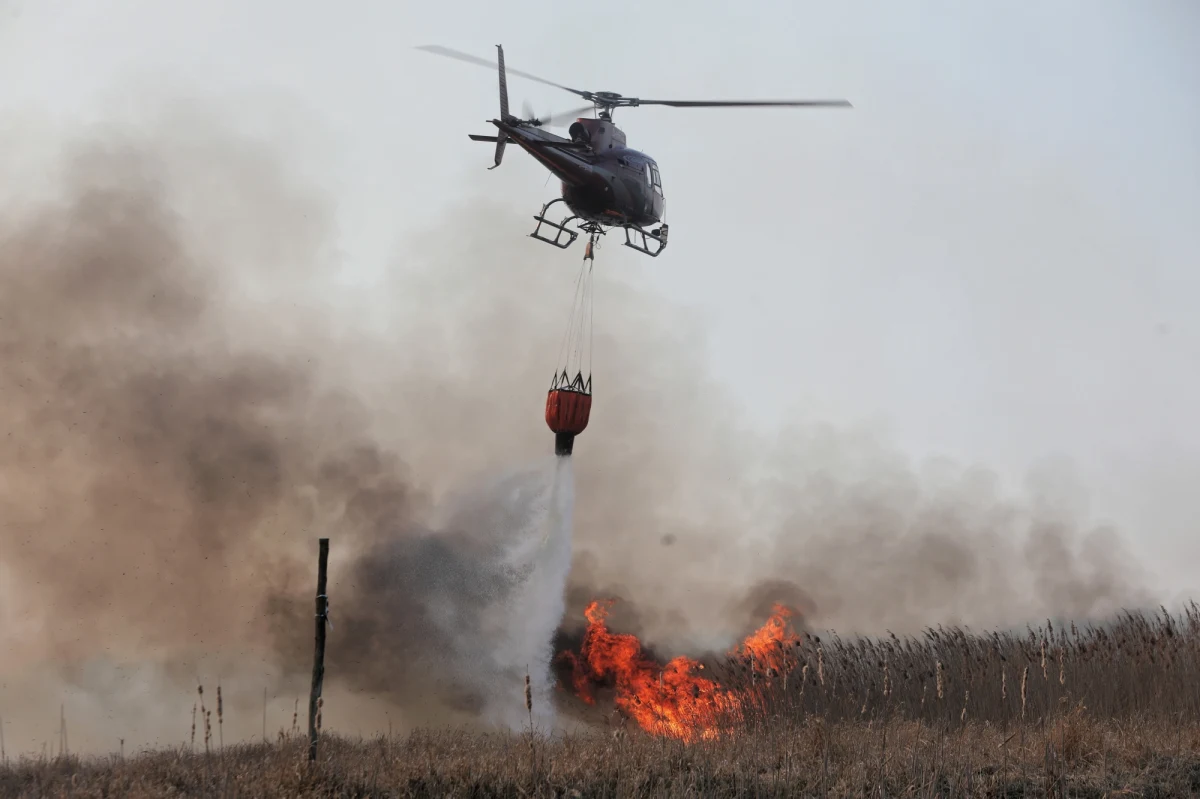 Śledztwo w sprawie pożaru w Biebrzańskim Parku Narodowym zostało umorzone. W ubiegłym roku spłonęło ponad 5 tysięcy hektarów lasów, a biegli ustalili, że przyczyną było podpalenie w kilku miejscach. Mimo to nie udało się ustalić winnych. 