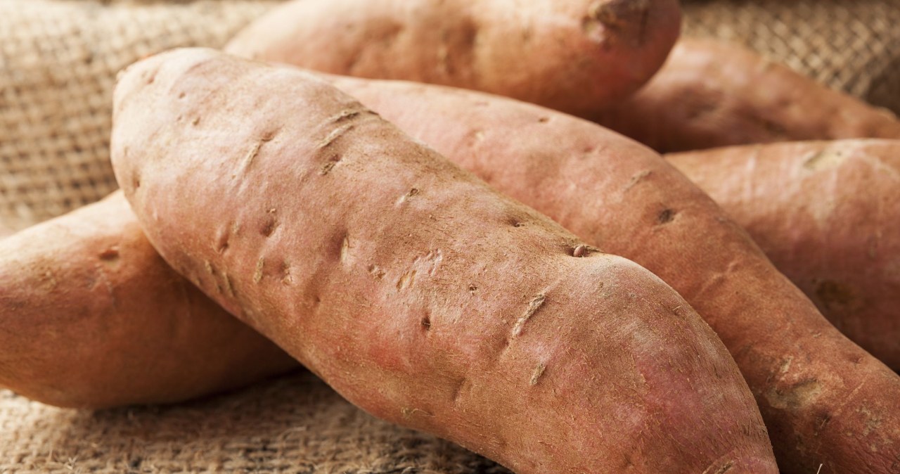 Zaskakująca moc batatów. Słodkie ziemniaki lepsze od bananów? Zaskakująca moc batatów. Słodkie ziemniaki lepsze od bananów?