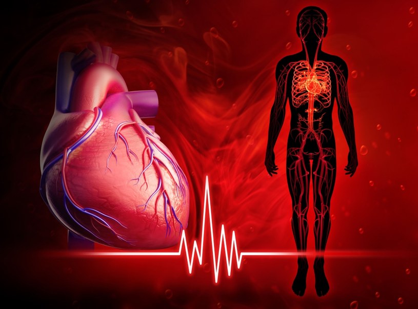 Jak możemy przeczytać w publikacji w magazynie Nature, naukowcy stworzyli najbardziej dotąd szczegółowy katalog komórek ludzkiego serca, w tym wyspecjalizowanej tkanki, z której pochodzi bicie serca.
