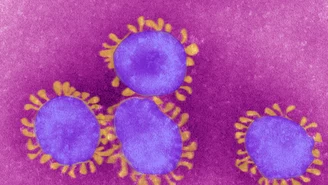 Polska najgorsza w Europie w badaniu mutacji koronawirusa