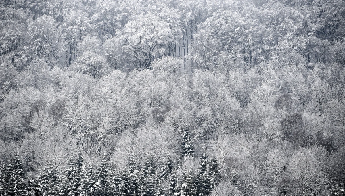 ​Beskidzcy ratownicy GOPR-u odnaleźli ciało poszukiwanego od kilku dni mężczyzny. 49-letni mieszkaniec powiatu bielskiego zaginął na początku tygodnia.
