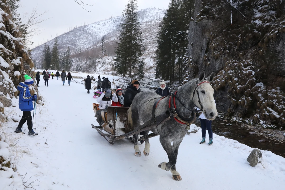 Na znak protestu przeciw obostrzeniom spowodowanym pandemią aktywiści z Góralskiego Veta zapalili wieczorem pochodnie m.in. pod Wielką Krokwią w Zakopanem. Zapowiadają uruchomienie biznesów od 18 stycznia, bez względu na ewentualne dalsze obostrzenia.
