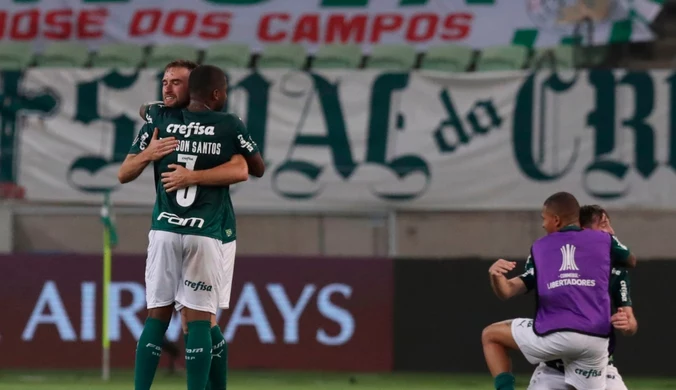 Piłkarze Palmeiras Sao Paulo zdobyli Puchar Brazylii