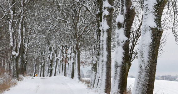 Zima zagościła w Polsce na dobre: Instytut Meteorologii i Gospodarki Wodnej wydał ostrzeżenia pierwszego i drugiego stopnia przed śnieżycami na południu kraju. Noc będzie mroźna - lokalnie minus 6 stopni Celsjusza. Śnieżnie i jeszcze zimniej będzie w kolejnych dniach - w nocy miejscami temperatura spadnie do - 20 stopni Celsjusza. 