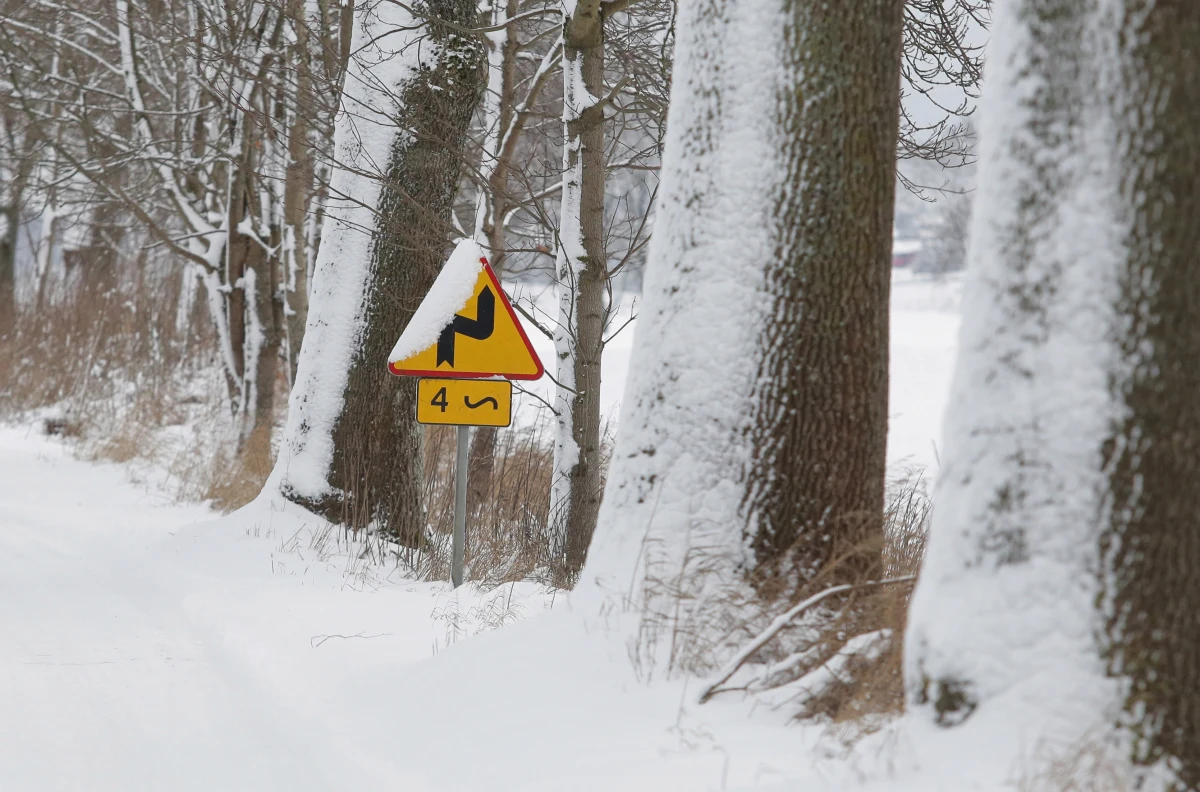 Małopolska, Śląsk oraz Dolny Śląsk. Czwartkowy poranek, w wielu miejscach Polski, powitał kierowców trudnymi warunkami na drogach. Było biało i ślisko - ostrzegaliście na Gorącą Linię RMF FM. Z piątku na sobotę temperatura spadnie miejscami do -19 st. C. 
