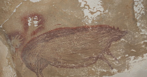 Na wyspie Celebes w Indonezji odkryto rysunki naskalne, datowane na 45,5 tys. lat, które są najstarszym przykładem sztuki przedstawieniowej. Prehistoryczni artyści namalowali naturalnych rozmiarów dzikie świnie celebeskie. Znalezisko opisano na łamach magazynu "Science Advances".