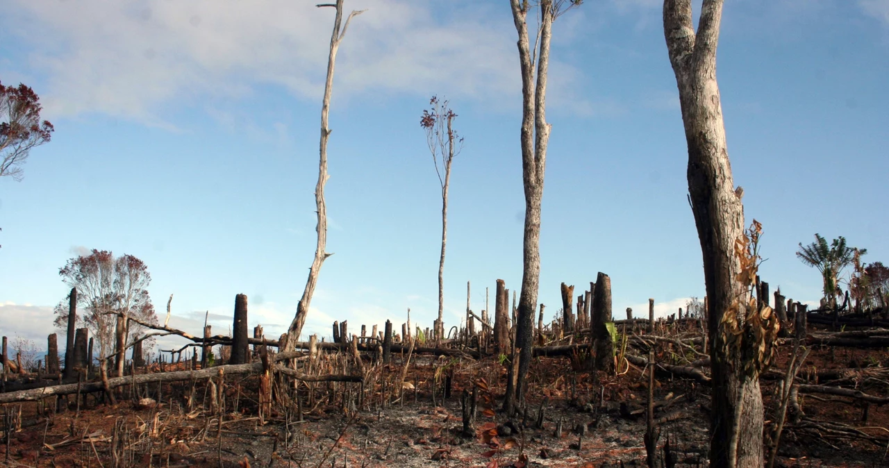 Średnia globalna temperatura w 2020 roku wynosiła około 14,9 stopnia C, czyli około 1,2 stopnia powyżej poziomu z lat 1850-1900