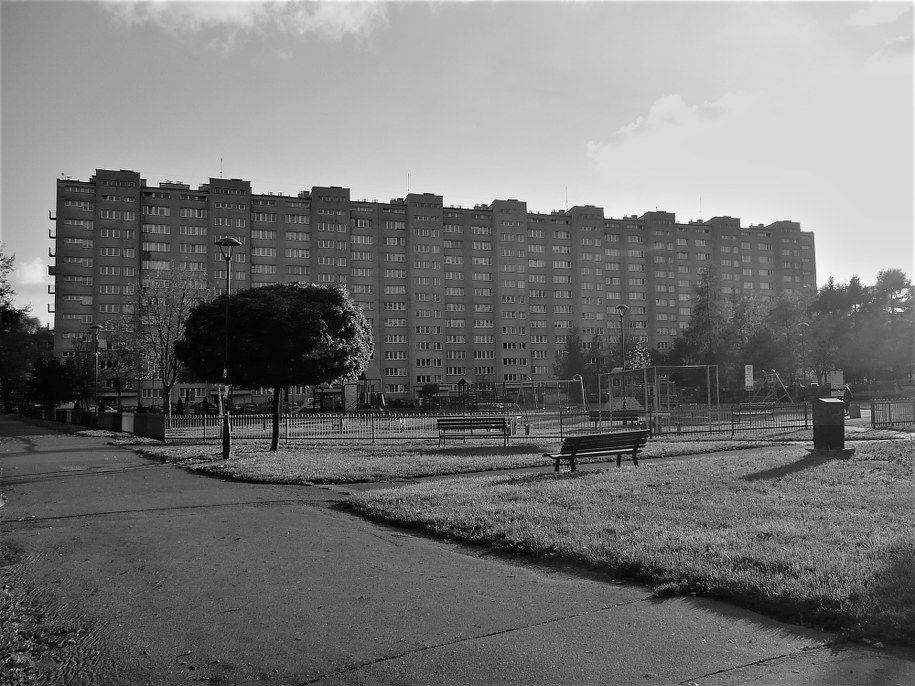 /Bogdan Zalewski /RMF FM