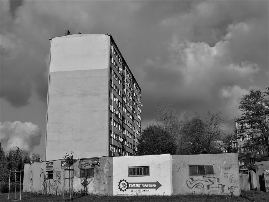 /Bogdan Zalewski /RMF FM