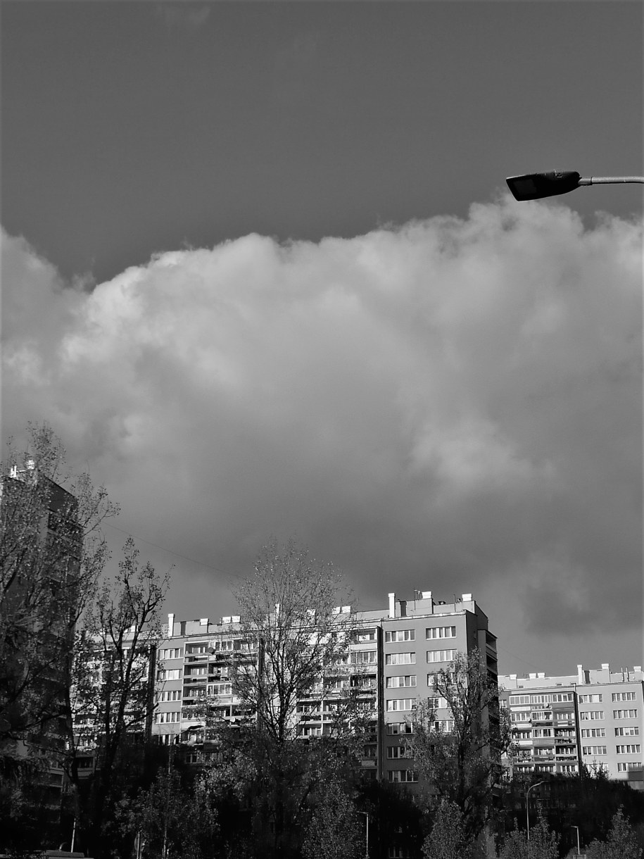 /Bogdan Zalewski /RMF FM