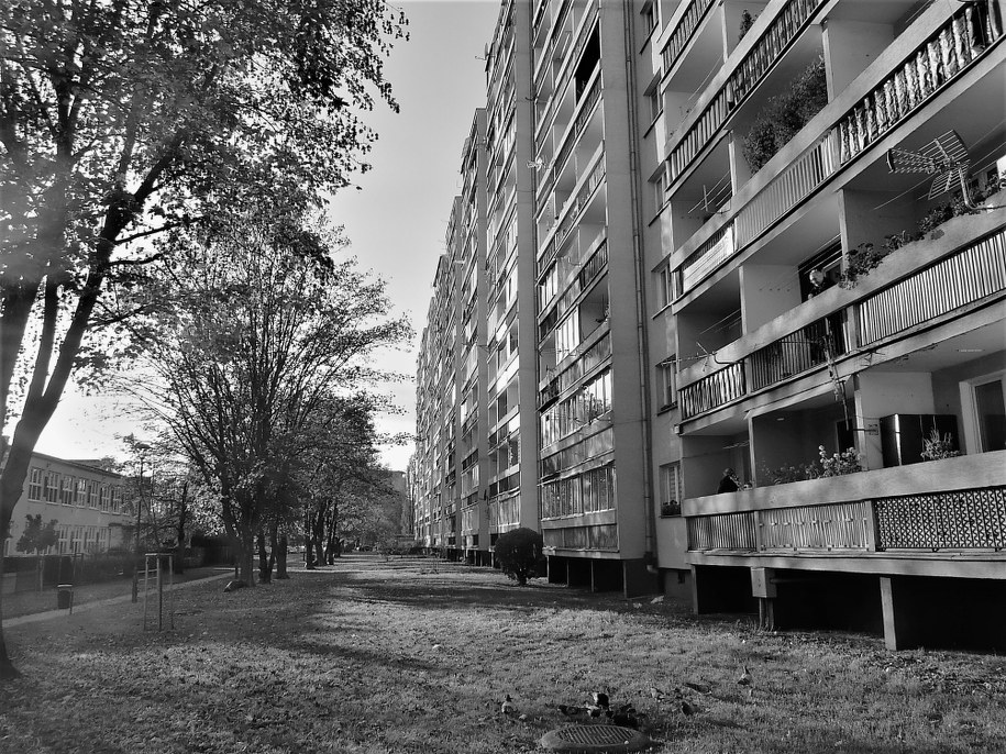 /Bogdan Zalewski /RMF FM