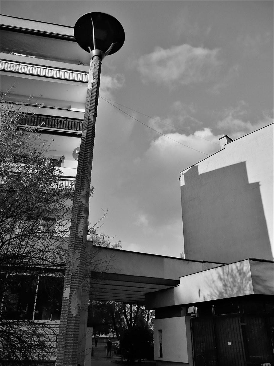 /Bogdan Zalewski /RMF FM