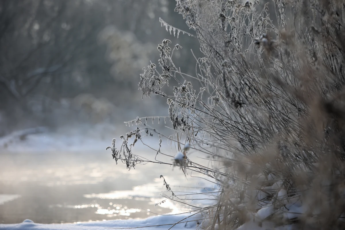 Siarczyste mrozy – na razie – nie ustępują. Na Podlasiu termometry pokazały ostatniej nocy niemal 23 stopnie mrozu, na Podkarpaciu zaś stacja Leszczowate zarejestrowała minus 23,8 stopnia. Mroźny był w Bieszczadach również poranek: w Ustrzykach Górnych słupki rtęci pokazały 11 stopni poniżej zera. W najbliższych dniach w całym kraju będzie jednak robić się coraz cieplej.
