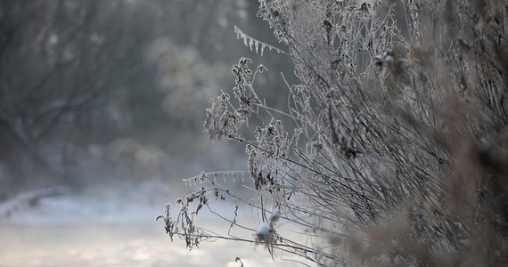 Siarczyste mrozy – na razie – nie ustępują. Na Podlasiu termometry pokazały ostatniej nocy niemal 23 stopnie mrozu, na Podkarpaciu zaś stacja Leszczowate zarejestrowała minus 23,8 stopnia. Mroźny był w Bieszczadach również poranek: w Ustrzykach Górnych słupki rtęci pokazały 11 stopni poniżej zera. W najbliższych dniach w całym kraju będzie jednak robić się coraz cieplej.