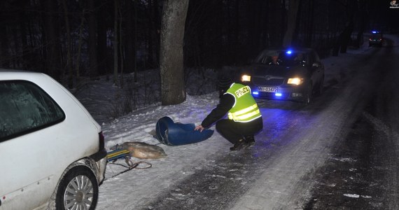 Dwie nastolatki zostały ranne, w tym jedna ciężko, po tym, jak w czasie kuligu pod Elblągiem wpadły na drzewo. Okoliczności wypadku badają policjanci.