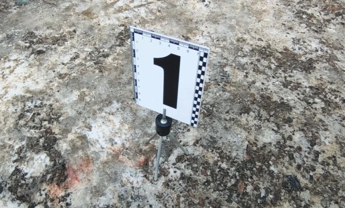 ​W ukraińskiej Odessie zatrzymano mężczyznę, który chodził po ulicy z odciętą głową w rękach i był owinięty ludzkimi wnętrznościami. W mieszkaniu znaleziono ciała dwóch mężczyzn, w tym ojca zatrzymanego.