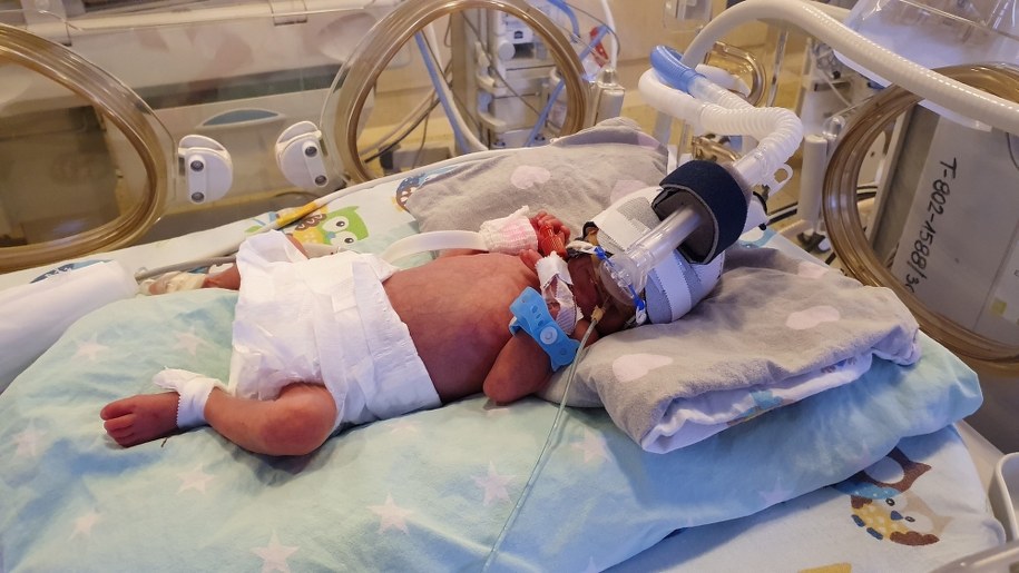 /Ginekologiczno-Położniczy Szpital Kliniczny w Poznaniu /