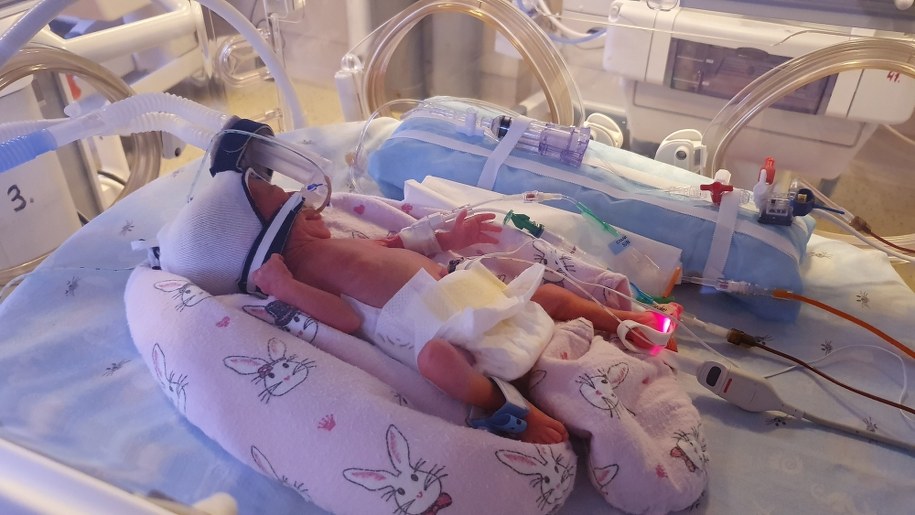 /Ginekologiczno-Położniczy Szpital Kliniczny w Poznaniu /