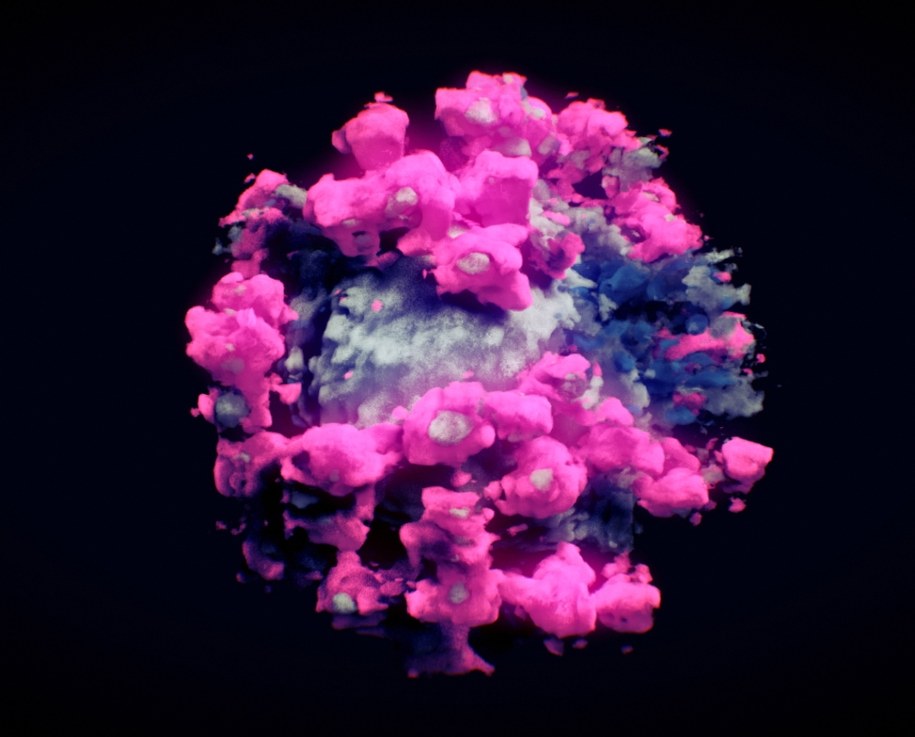 /foto. NANOGRAPHICS GMBH  /PAP/EPA