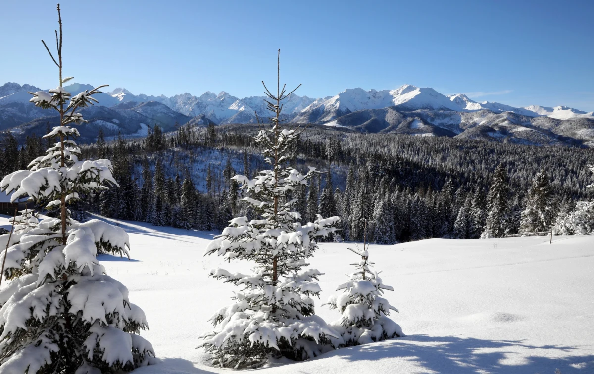 Czy zima zostanie z nami na dłużej? Jak prognozuje Instytut Meteorologii i Gospodarki Wodnej, znaczne ochłodzenie czeka nas w pierwszej, a także trzeciej dekadzie lutego. Najniższe temperatury pojawią się od 3 do 6 lutego. Zobacz, co nas czeka w pogodzie w najbliższych tygodniach!