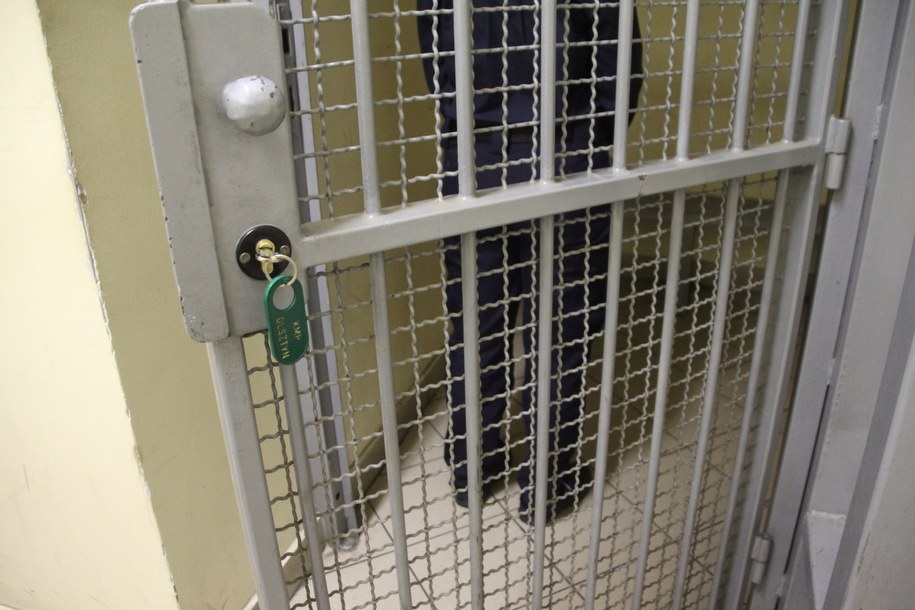 Wyrzucił psa przez okno z 8. piętra. Jest akt oskarżenia ws. 35-latka