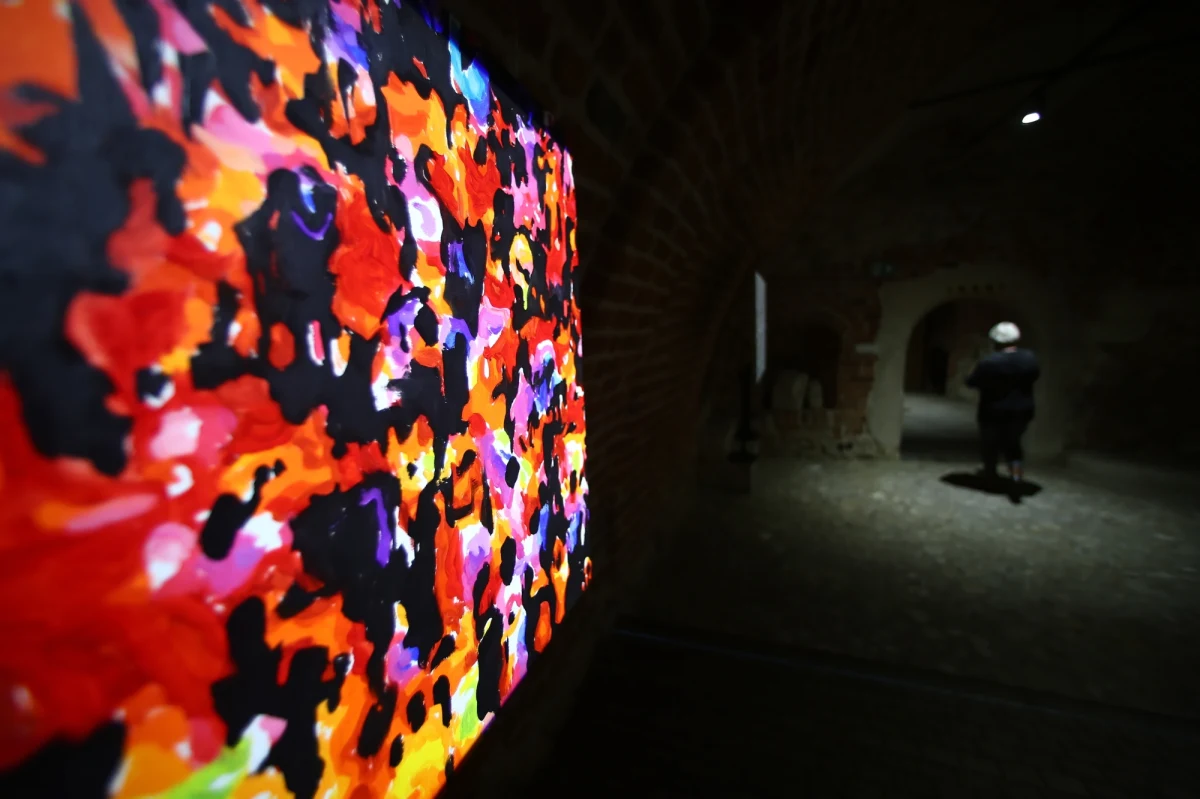 Wystawą pt. "Tak to wygląda" Bartka Materki zainaugurowano działalność krakowskiej galerii Bunkier Sztuki, która znalazła nową, tymczasową siedzibę w pałacu Potockich przy Rynku Głównym. 