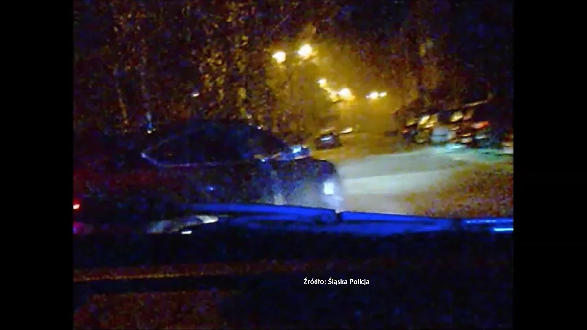 13 osób z zarzutami działania w gangu samochodowym. Łącznie w całym kraju ukradli oni około 400 samochodów. Grupę rozbili katowiccy policjanci.