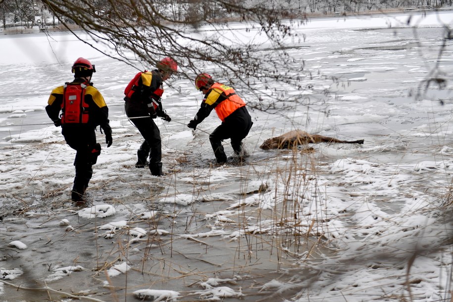 / 	Marcin Bielecki    /PAP