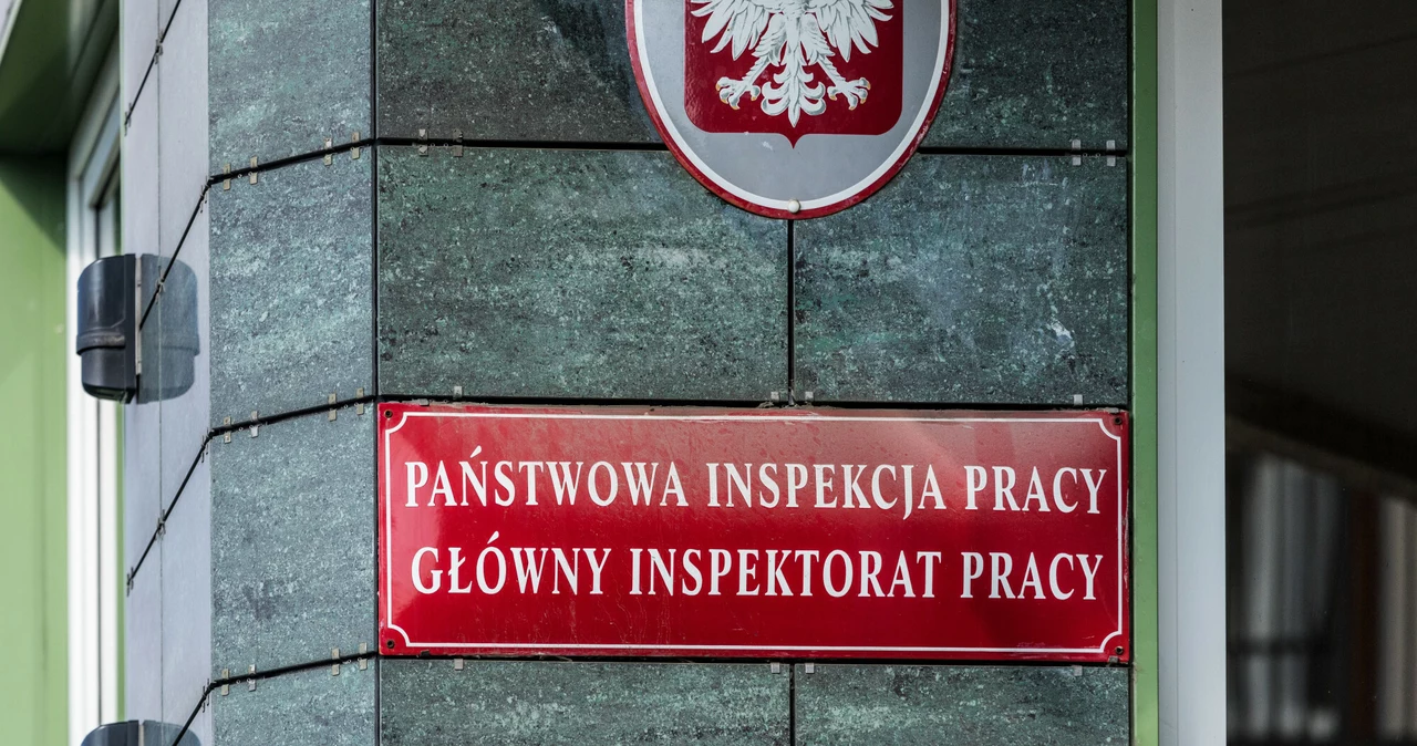 Państwowa Inspekcja Pracy